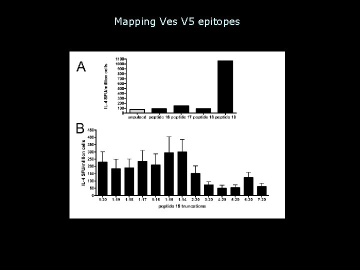 Mapping Ves V 5 epitopes 