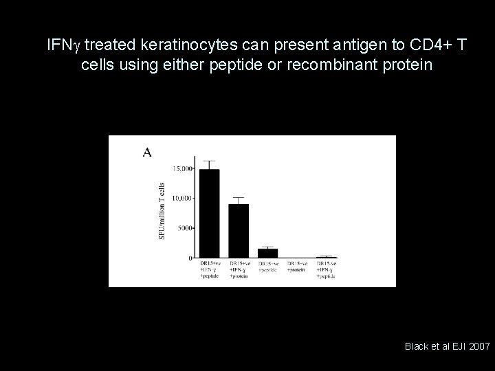 IFNg treated keratinocytes can present antigen to CD 4+ T cells using either peptide