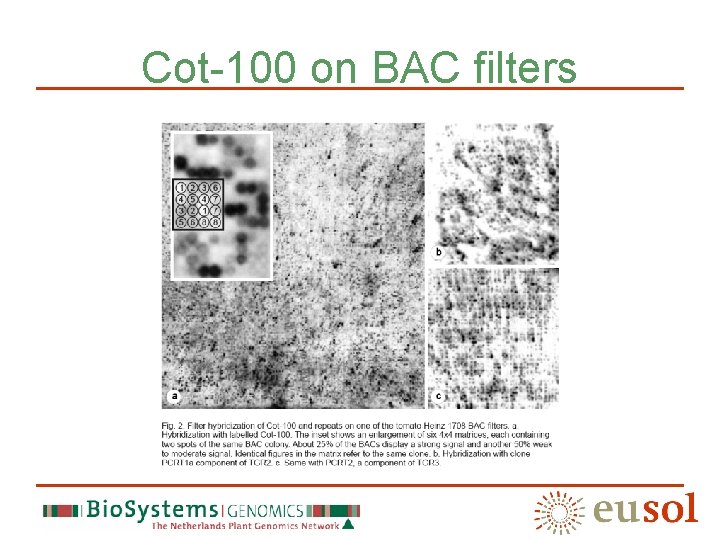 Cot-100 on BAC filters 