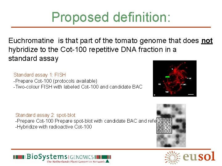 Proposed definition: Euchromatine is that part of the tomato genome that does not hybridize