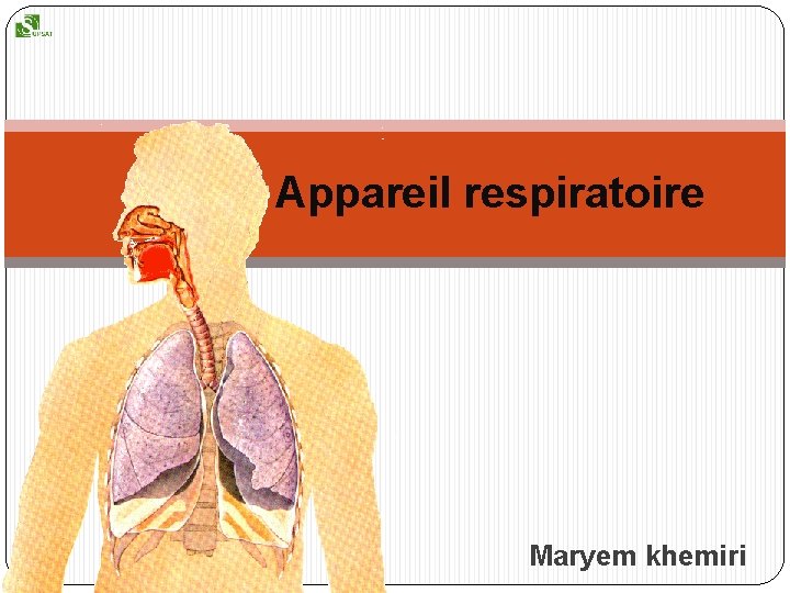 Appareil respiratoire Maryem khemiri Appareil respiratoire Maryem khemiri