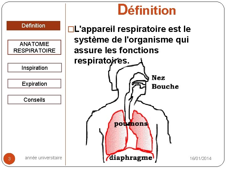 Définition ANATOMIE RESPIRATOIRE Inspiration �L'appareil respiratoire est le système de l'organisme qui assure les Définition ANATOMIE RESPIRATOIRE Inspiration �L'appareil respiratoire est le système de l'organisme qui assure les