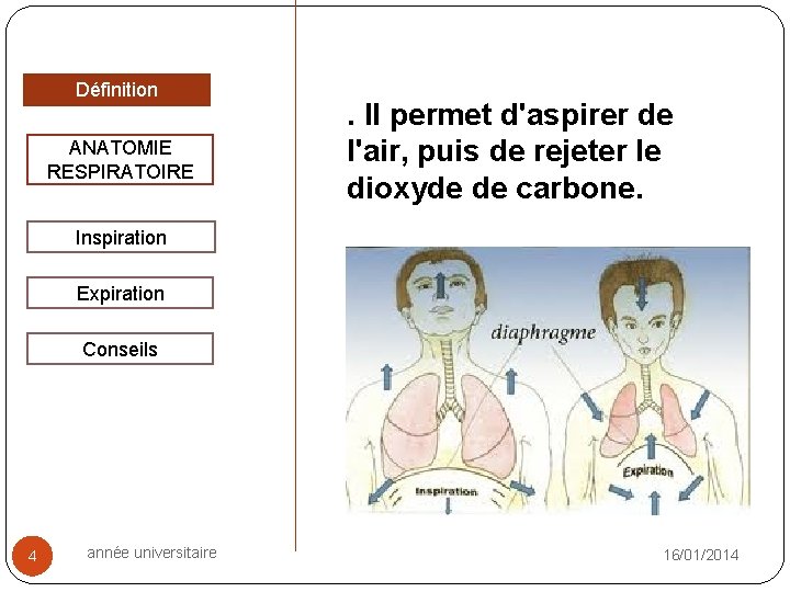Définition ANATOMIE RESPIRATOIRE . Il permet d'aspirer de l'air, puis de rejeter le dioxyde Définition ANATOMIE RESPIRATOIRE . Il permet d'aspirer de l'air, puis de rejeter le dioxyde