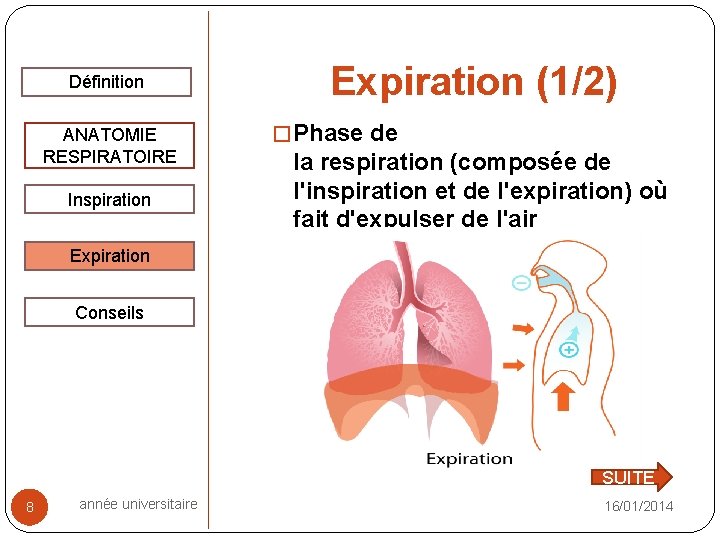 Définition ANATOMIE RESPIRATOIRE Inspiration Expiration (1/2) � Phase de la respiration (composée de l'inspiration