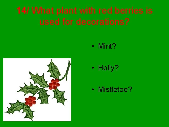 14/ What plant with red berries is used for decorations? • Mint? • Holly?