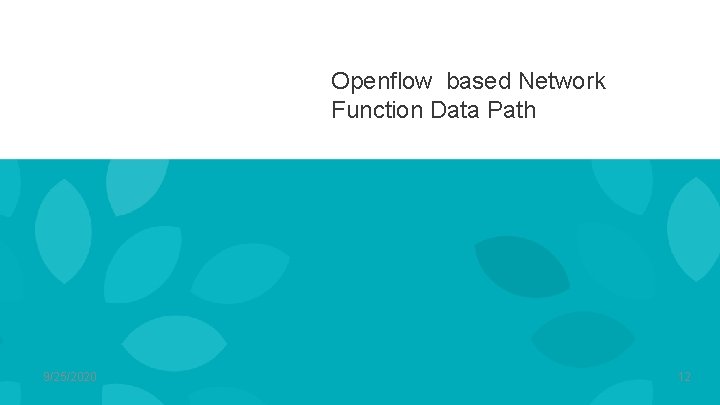 Flow Processing for Fast Path Inline Acceleration Srinivasa