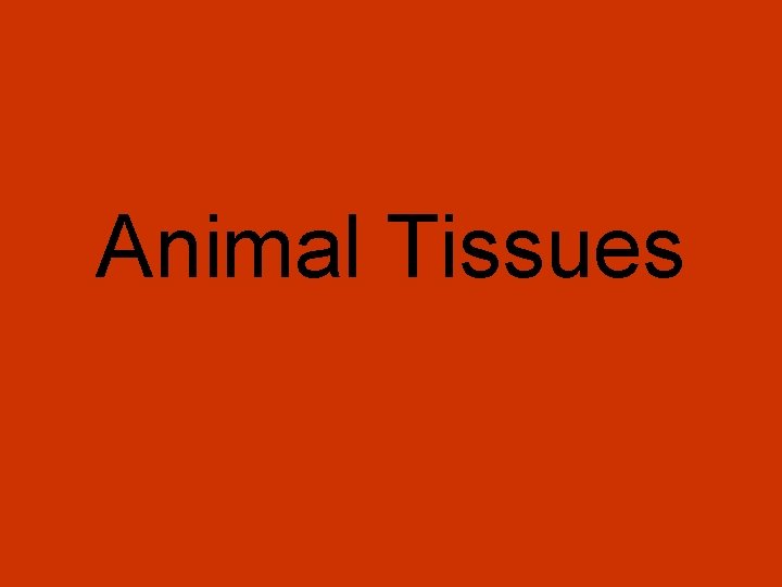 Animal Tissues 