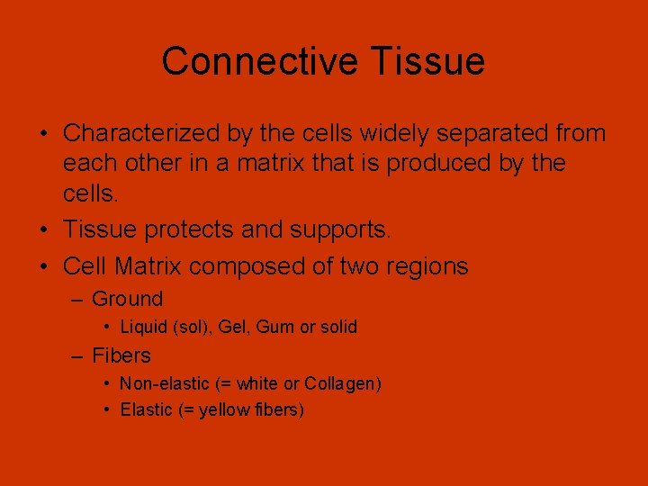 Connective Tissue • Characterized by the cells widely separated from each other in a