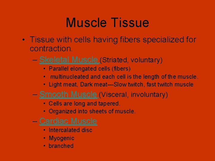 Muscle Tissue • Tissue with cells having fibers specialized for contraction. – Skeletal Muscle