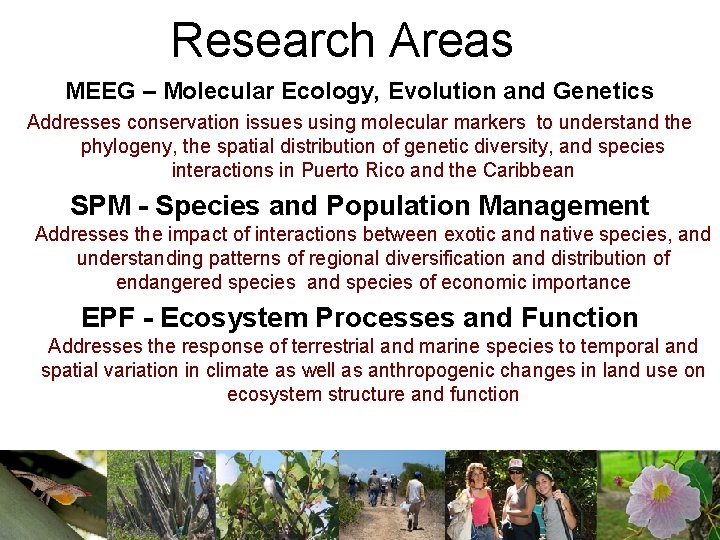 Research Areas MEEG – Molecular Ecology, Evolution and Genetics Addresses conservation issues using molecular