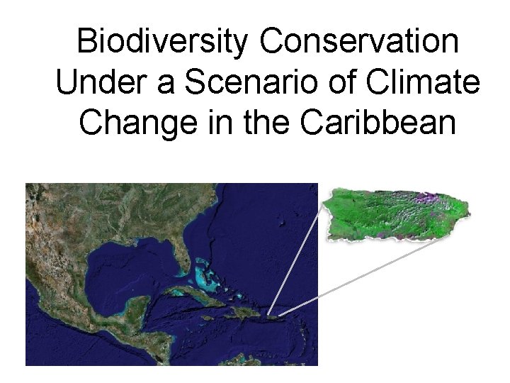 Biodiversity Conservation Under a Scenario of Climate Change in the Caribbean 