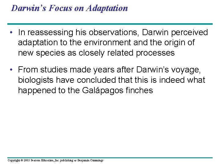 Darwin’s Focus on Adaptation • In reassessing his observations, Darwin perceived adaptation to the