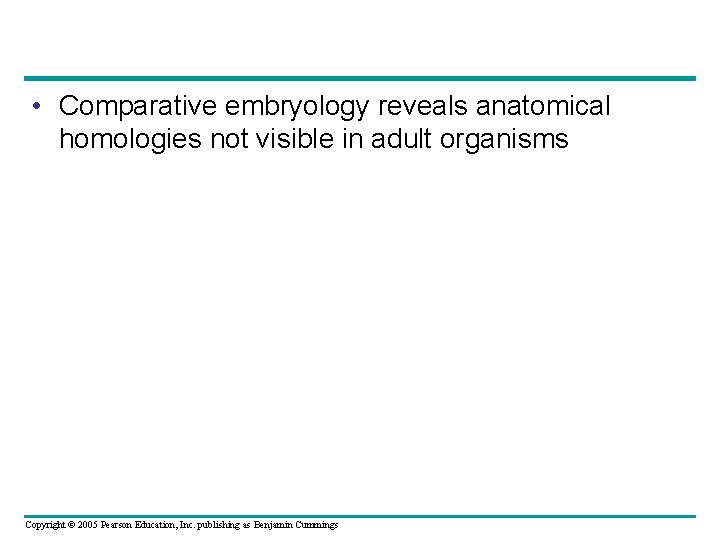  • Comparative embryology reveals anatomical homologies not visible in adult organisms Copyright ©