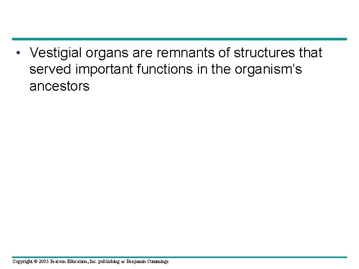  • Vestigial organs are remnants of structures that served important functions in the