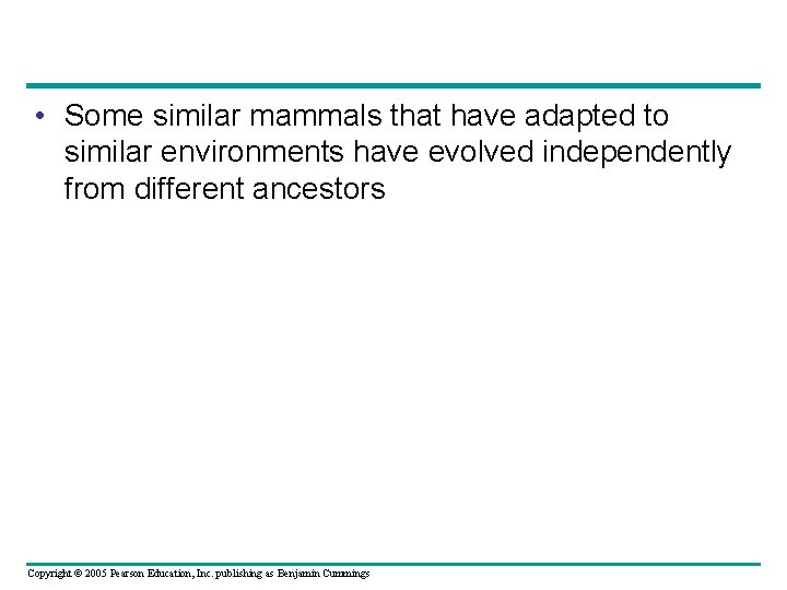  • Some similar mammals that have adapted to similar environments have evolved independently