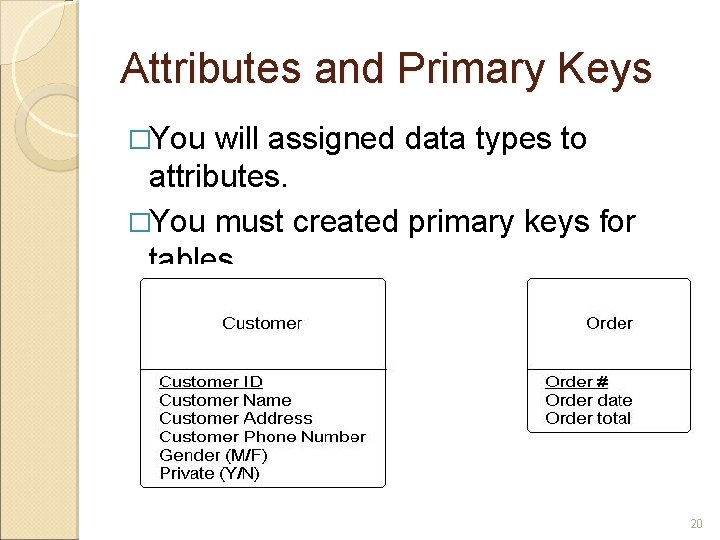 Attributes and Primary Keys �You will assigned data types to attributes. �You must created