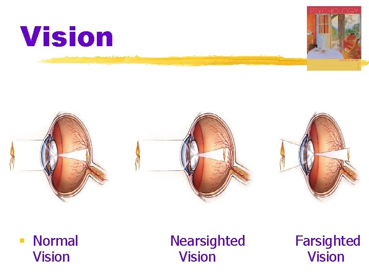 Vision § Normal Vision Nearsighted Vision Farsighted Vision 