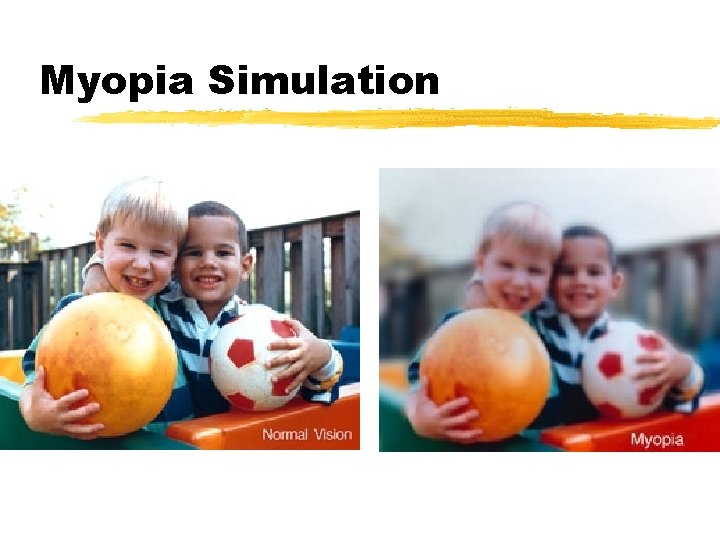 Myopia Simulation 