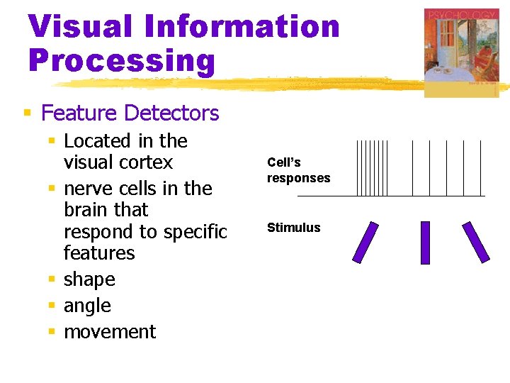 Visual Information Processing § Feature Detectors § Located in the visual cortex § nerve