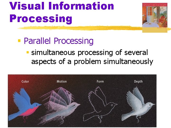 Visual Information Processing § Parallel Processing § simultaneous processing of several aspects of a