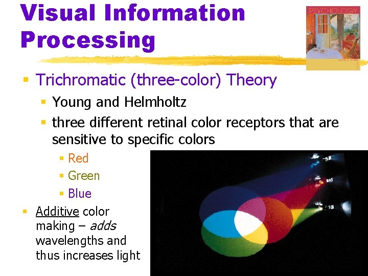 Visual Information Processing § Trichromatic (three-color) Theory § Young and Helmholtz § three different