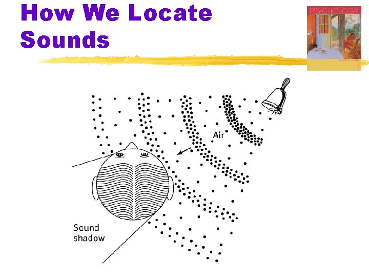 How We Locate Sounds 