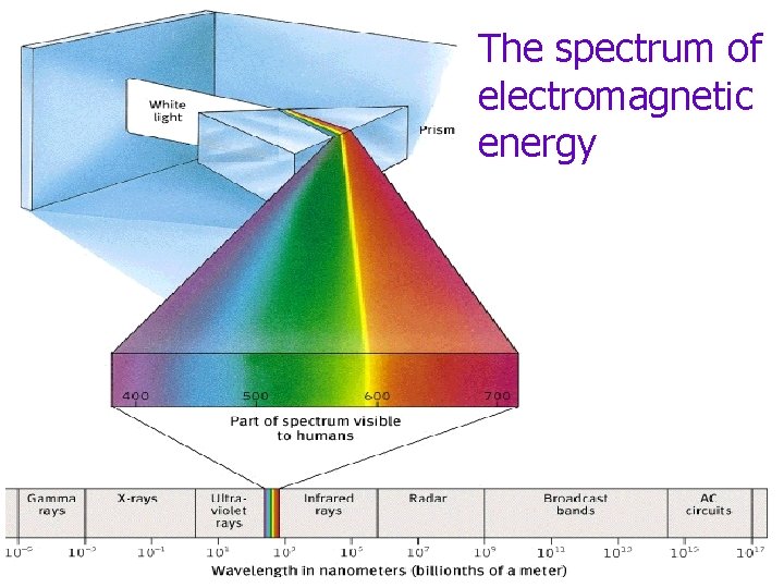 The spectrum of electromagnetic energy 