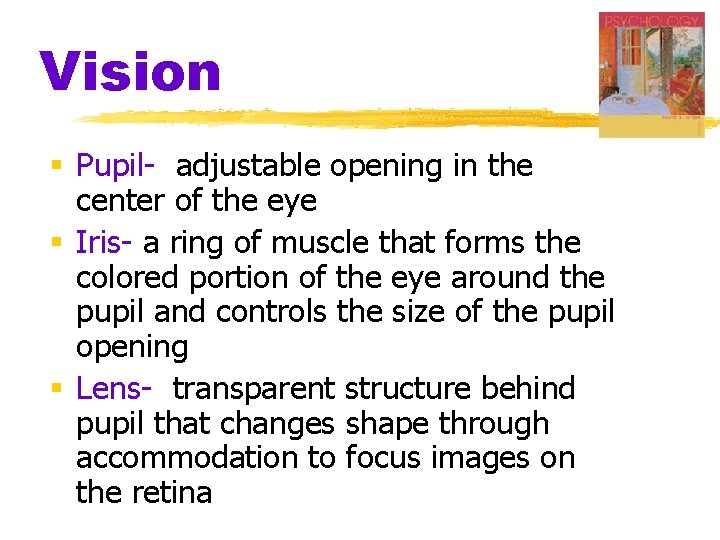 Vision § Pupil- adjustable opening in the center of the eye § Iris- a