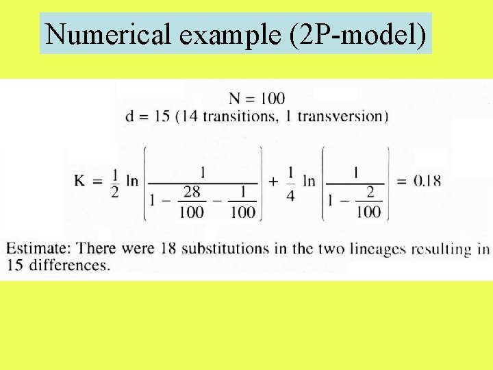 Numerical example (2 P-model) 