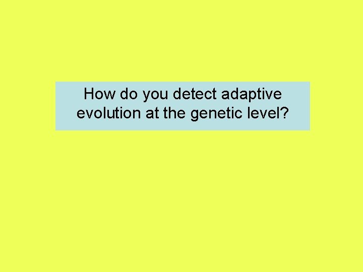 How do you detect adaptive evolution at the genetic level? 