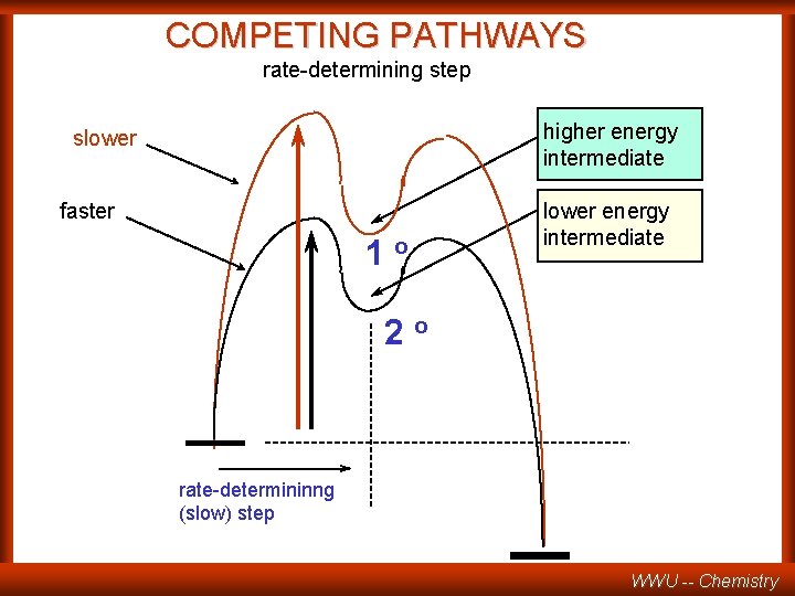 COMPETING PATHWAYS rate-determining step higher energy intermediate slower faster 1 o lower energy intermediate