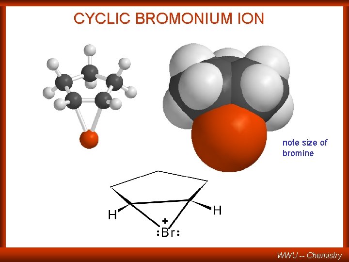 CYCLIC BROMONIUM ION note size of bromine + WWU -- Chemistry 