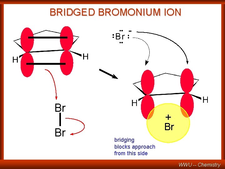 BRIDGED BROMONIUM ION Br Br + Br bridging blocks approach from this side WWU