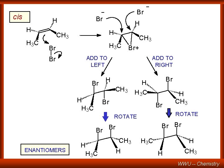 - cis Br H H H 3 C Br H H CH 3 H