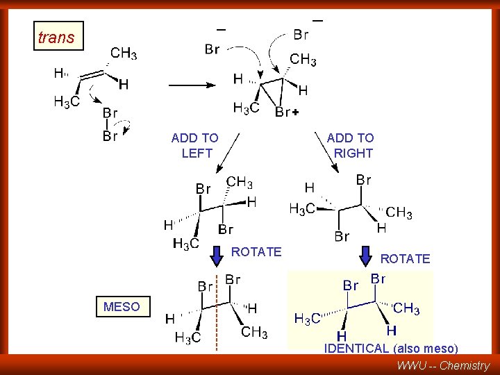 _ _ trans + ADD TO LEFT ADD TO RIGHT ROTATE MESO IDENTICAL (also
