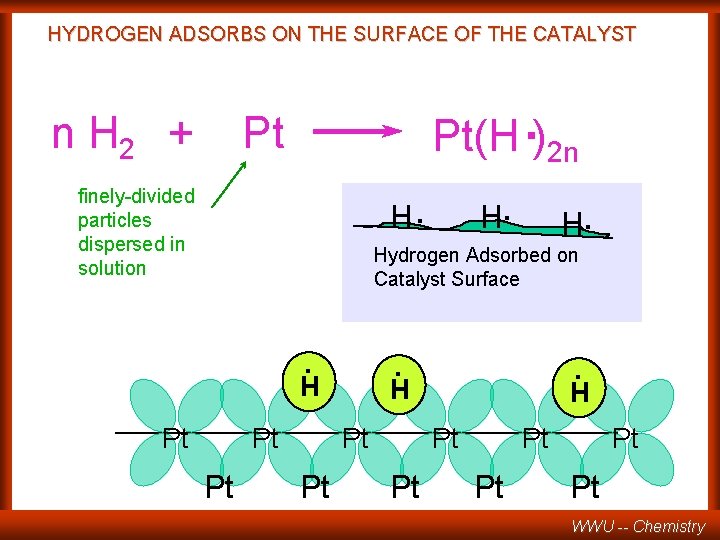 HYDROGEN ADSORBS ON THE SURFACE OF THE CATALYST n H 2 + Pt(H. )2