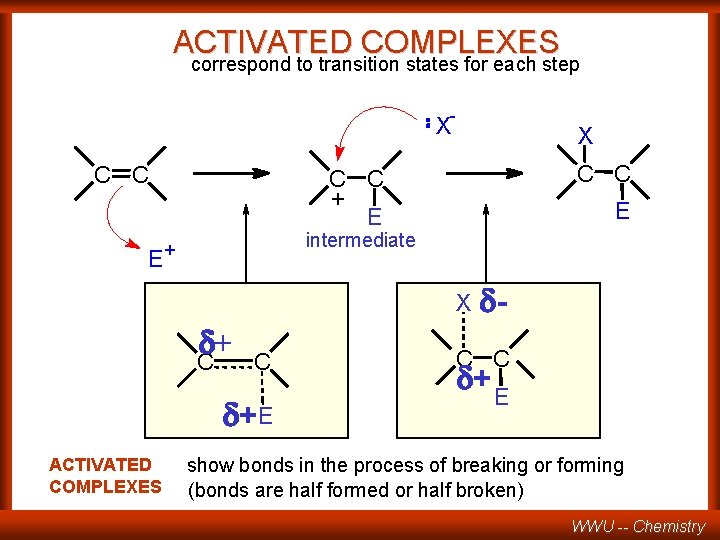 ACTIVATED COMPLEXES correspond to transition states for each step - X C C E
