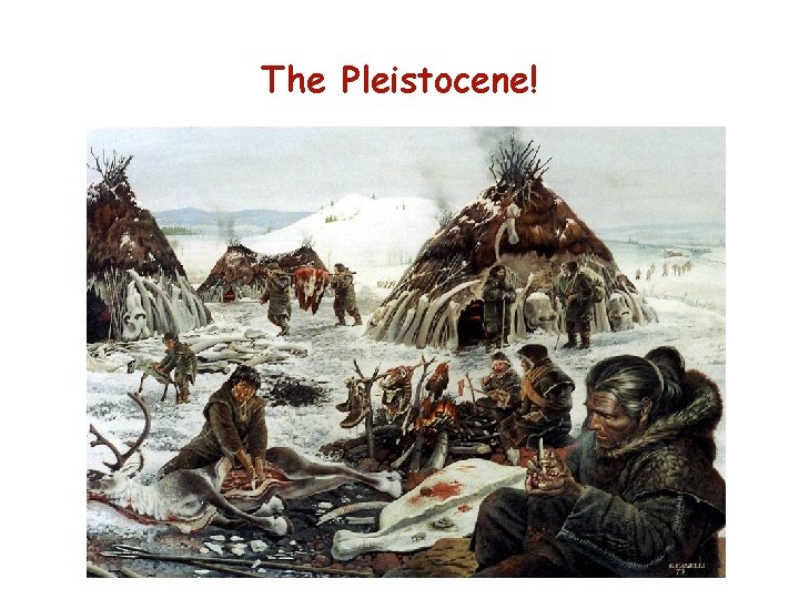 The Pleistocene! 