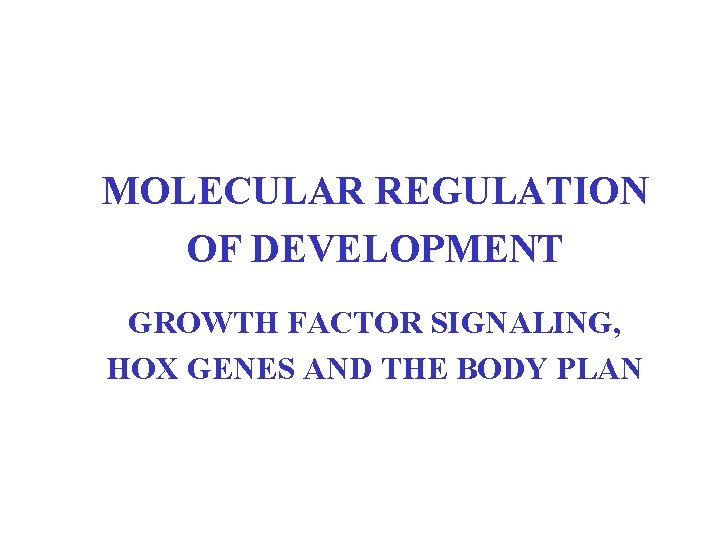 MOLECULAR REGULATION OF DEVELOPMENT GROWTH FACTOR SIGNALING, HOX GENES AND THE BODY PLAN 