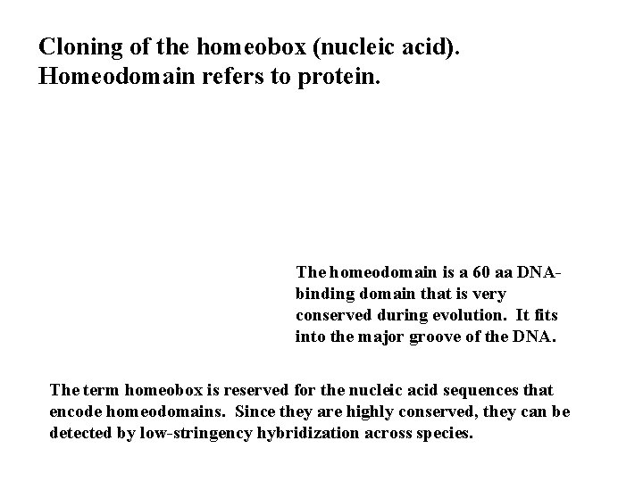 Cloning of the homeobox (nucleic acid). Homeodomain refers to protein. The homeodomain is a