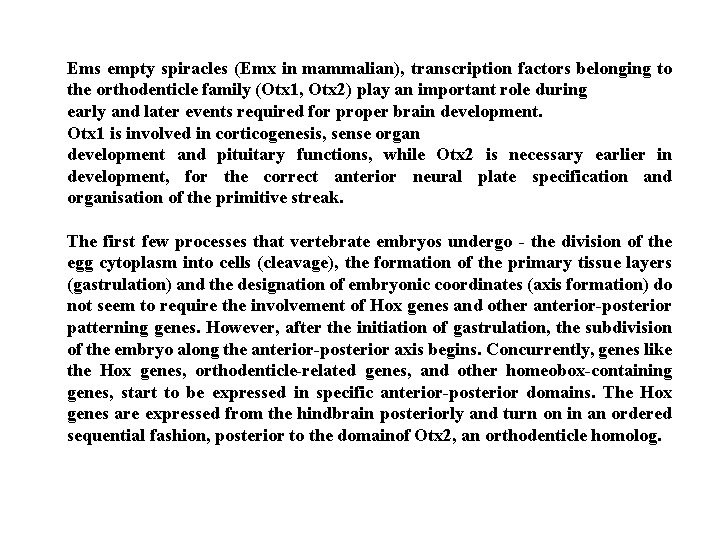 Ems empty spiracles (Emx in mammalian), transcription factors belonging to the orthodenticle family (Otx