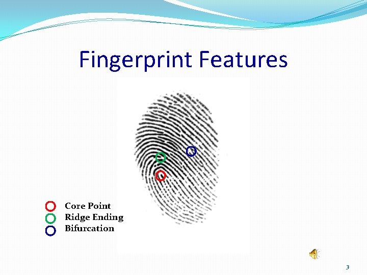 Fingerprint Features Core Point Ridge Ending Bifurcation 3 