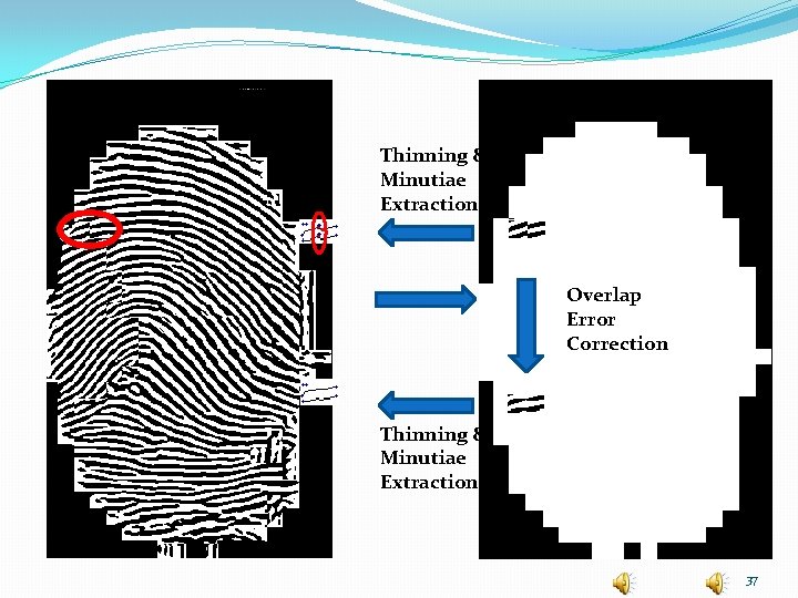 Thinning & Minutiae Extraction Overlap Error Correction Thinning & Minutiae Extraction 37 