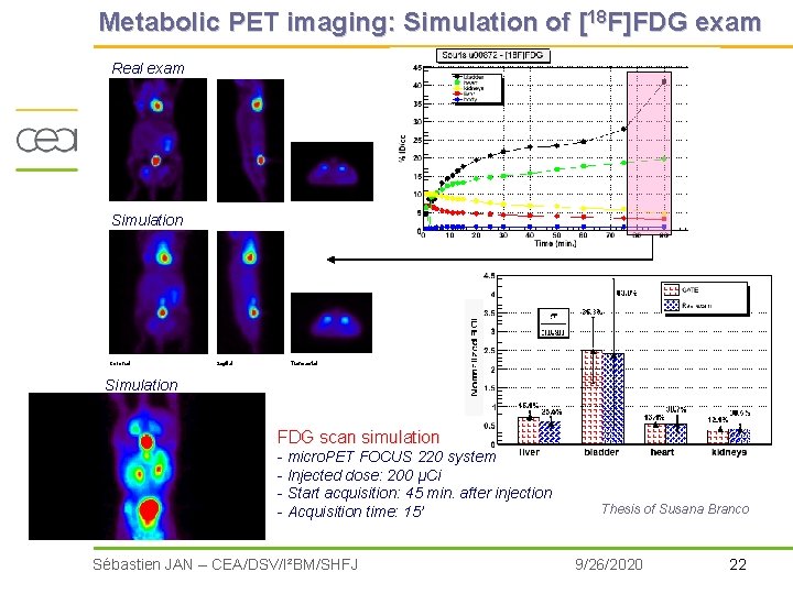 Metabolic PET imaging: Simulation of [18 F]FDG exam Real exam Simulation Coronal Sagital Transaxial
