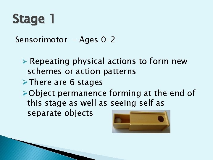 Stage 1 Sensorimotor - Ages 0 -2 Ø Repeating physical actions to form new