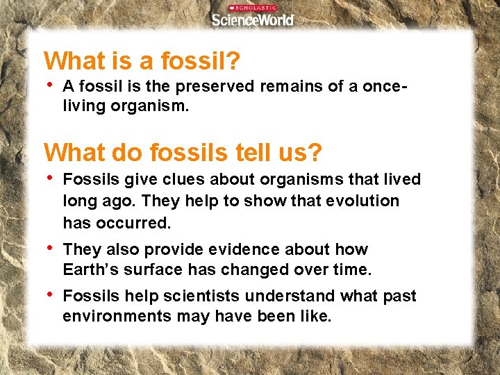 What is a fossil? • A fossil is the preserved remains of a onceliving