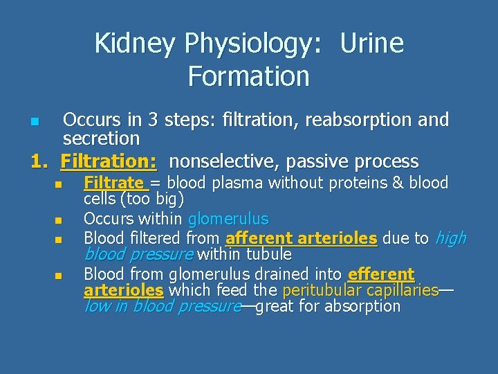 Kidney Physiology: Urine Formation Occurs in 3 steps: filtration, reabsorption and secretion 1. Filtration: