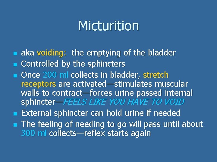 Micturition n n aka voiding: the emptying of the bladder Controlled by the sphincters