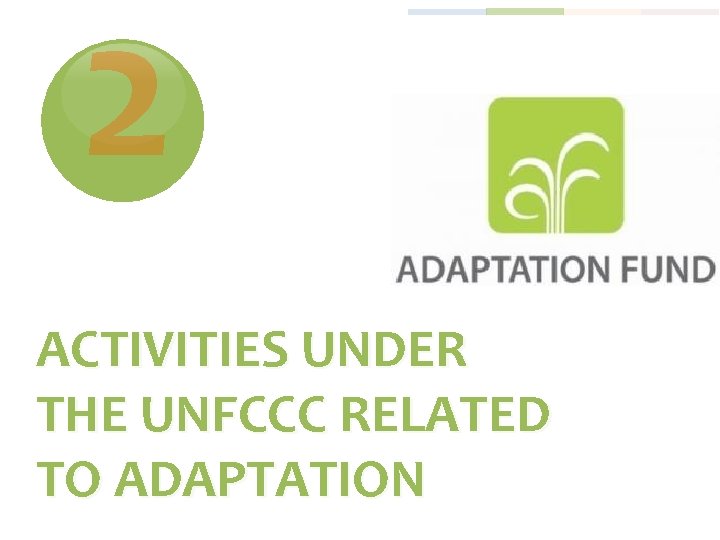 2 ACTIVITIES UNDER THE UNFCCC RELATED TO ADAPTATION 