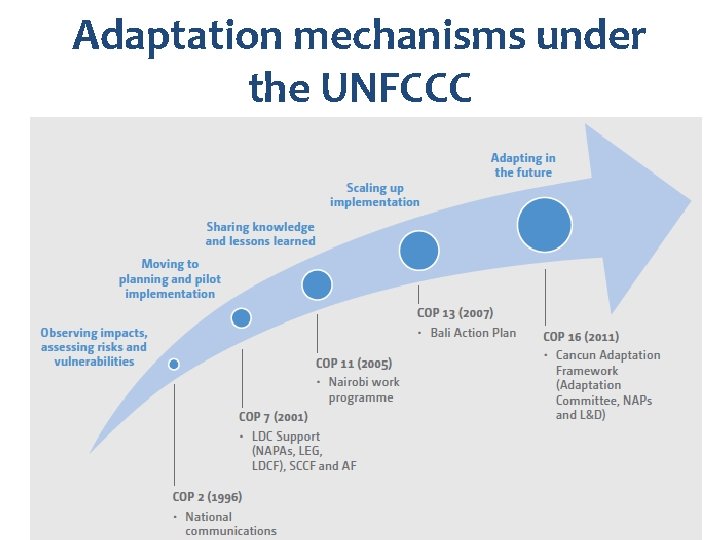 Adaptation mechanisms under the UNFCCC 